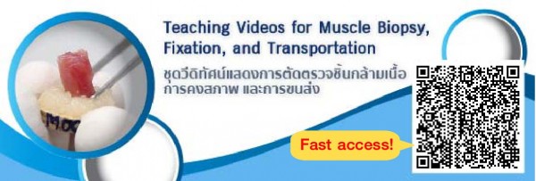 Muscle video banner